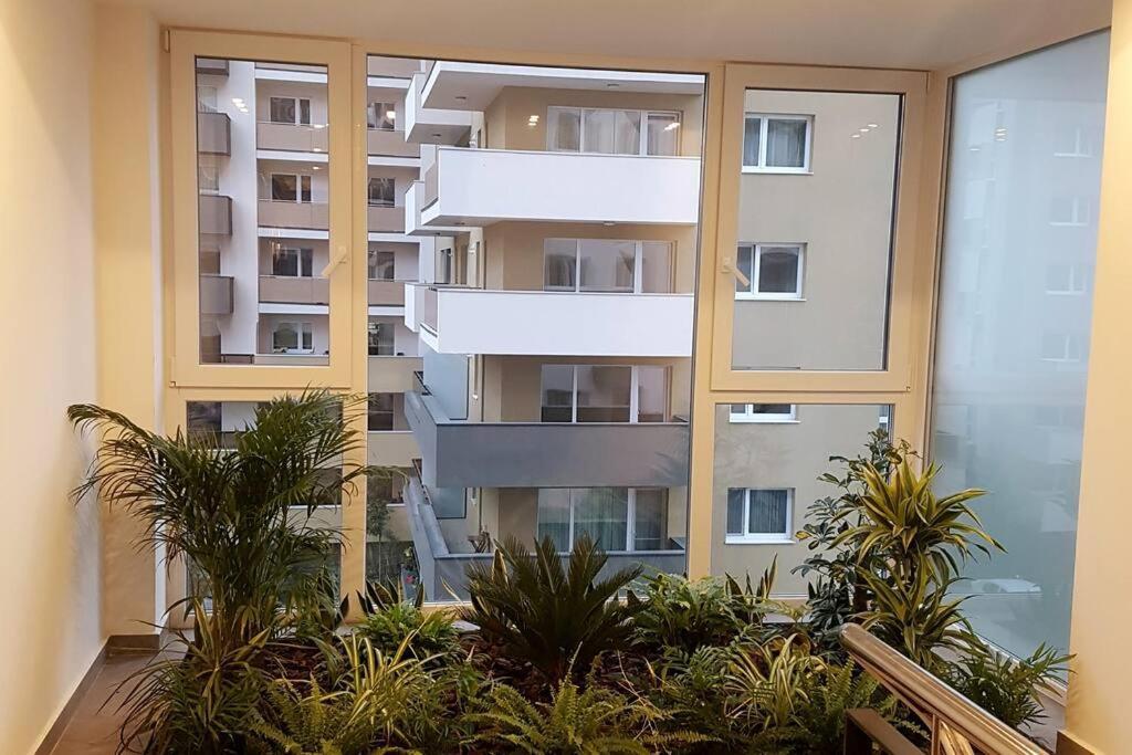 Wonderful Apartment Braşov Exterior foto