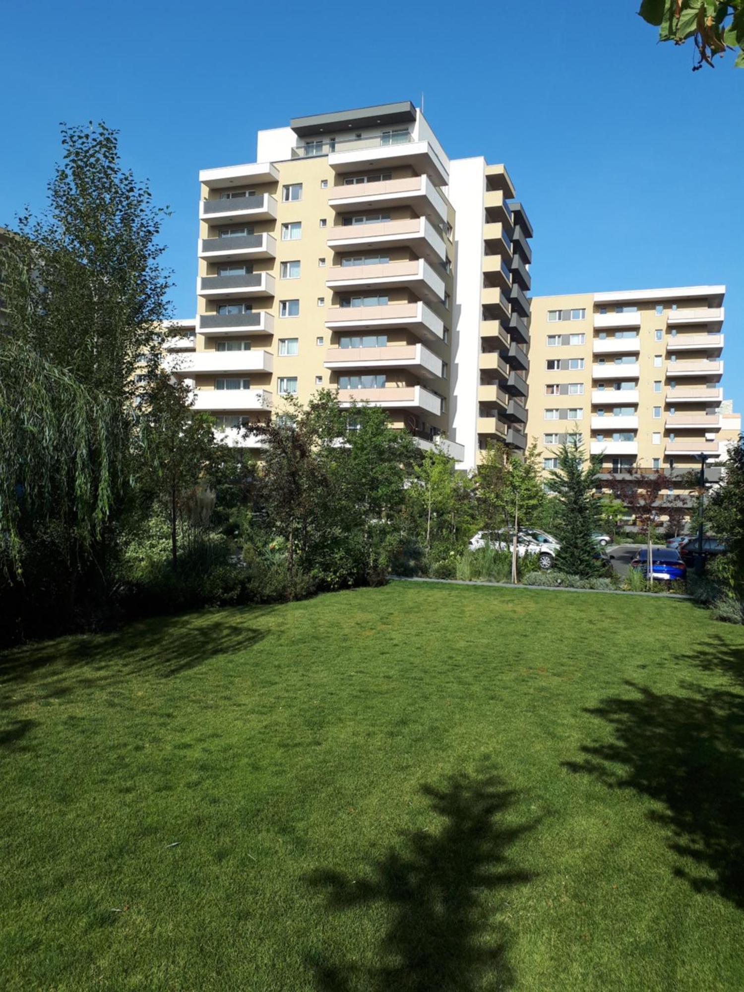 Wonderful Apartment Braşov Exterior foto